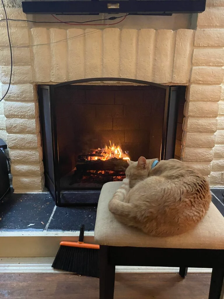 Holiday Gatherings… and Drafty Fireplaces?